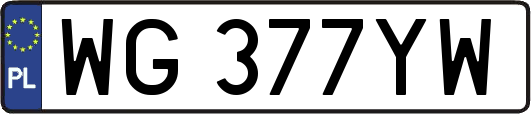 WG377YW