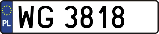 WG3818
