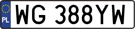 WG388YW