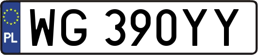 WG390YY