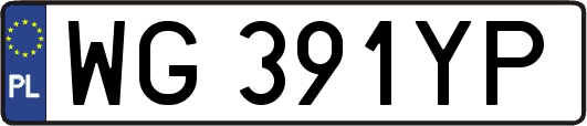 WG391YP