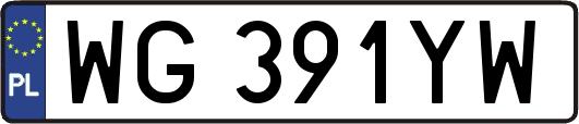 WG391YW