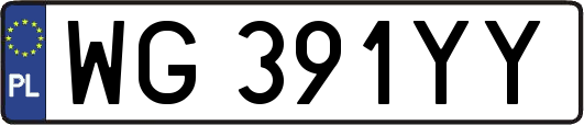 WG391YY