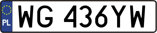 WG436YW