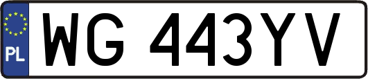 WG443YV
