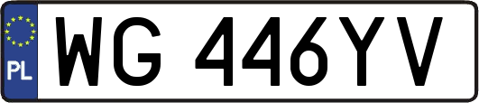 WG446YV