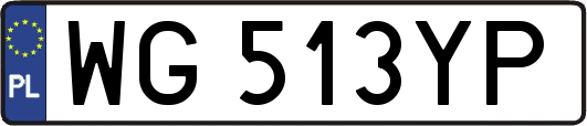 WG513YP