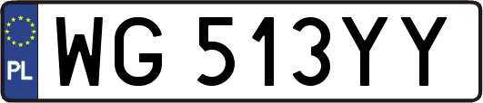 WG513YY
