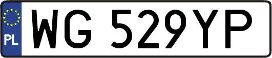 WG529YP