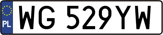 WG529YW
