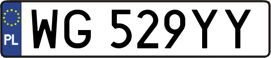 WG529YY