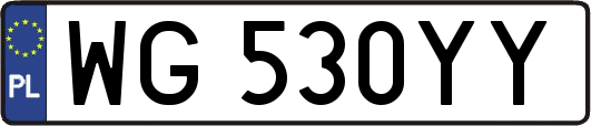WG530YY