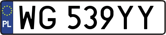 WG539YY
