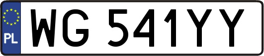 WG541YY