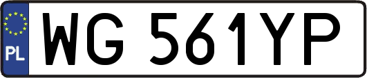 WG561YP