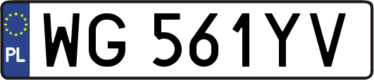 WG561YV