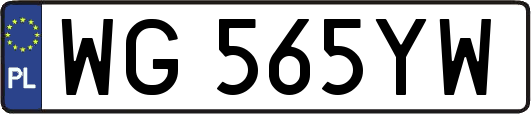 WG565YW