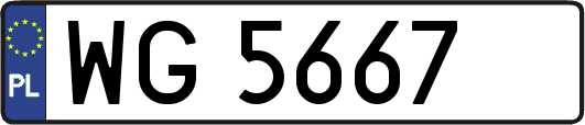 WG5667