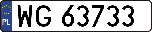 WG63733