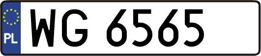 WG6565