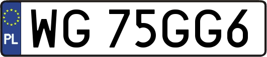 WG75GG6