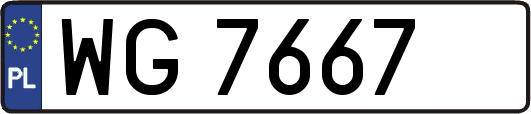 WG7667