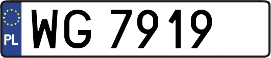 WG7919