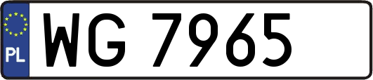 WG7965