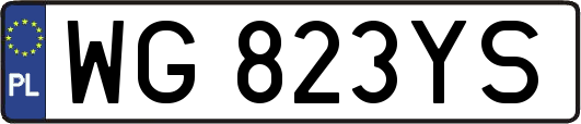 WG823YS