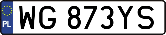 WG873YS