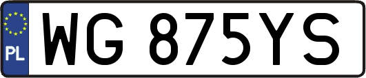 WG875YS
