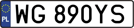 WG890YS