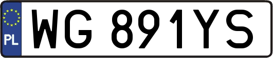 WG891YS
