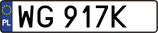 WG917K