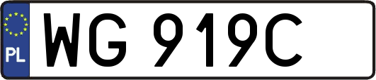 WG919C