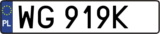 WG919K