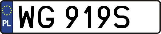 WG919S