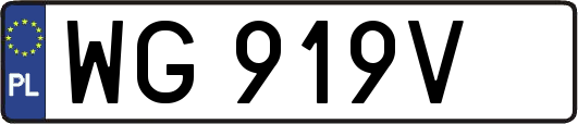 WG919V