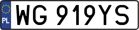 WG919YS