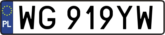 WG919YW