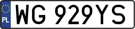 WG929YS