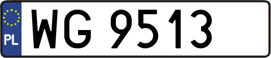 WG9513