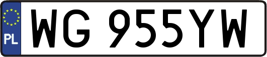 WG955YW