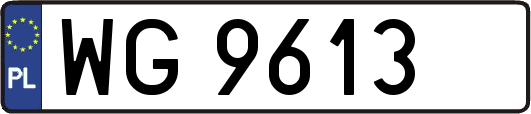 WG9613
