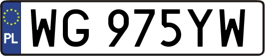 WG975YW