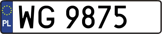 WG9875