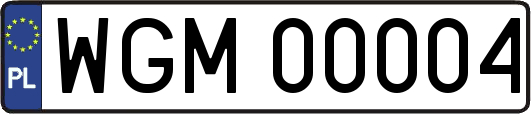 WGM00004