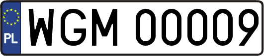 WGM00009