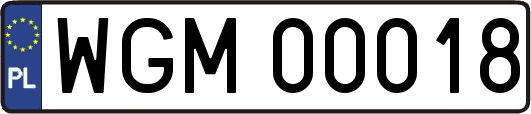 WGM00018