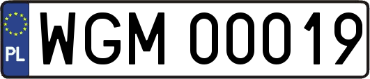 WGM00019